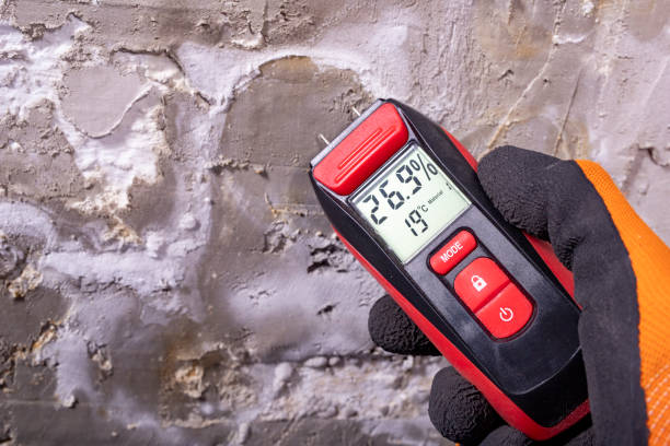 Best Home Mold Removal  in Sunnyvale, TX