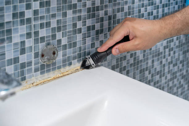 Best Mold Remediation  in Sunnyvale, TX