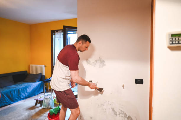 Best Residential Mold Removal  in Sunnyvale, TX