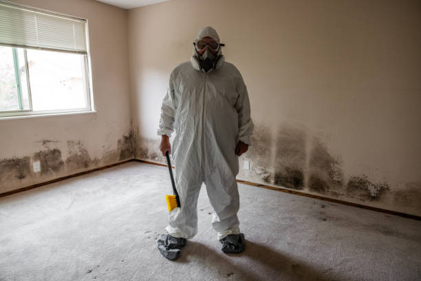 Certified Mold Removal in Sunnyvale, TX
